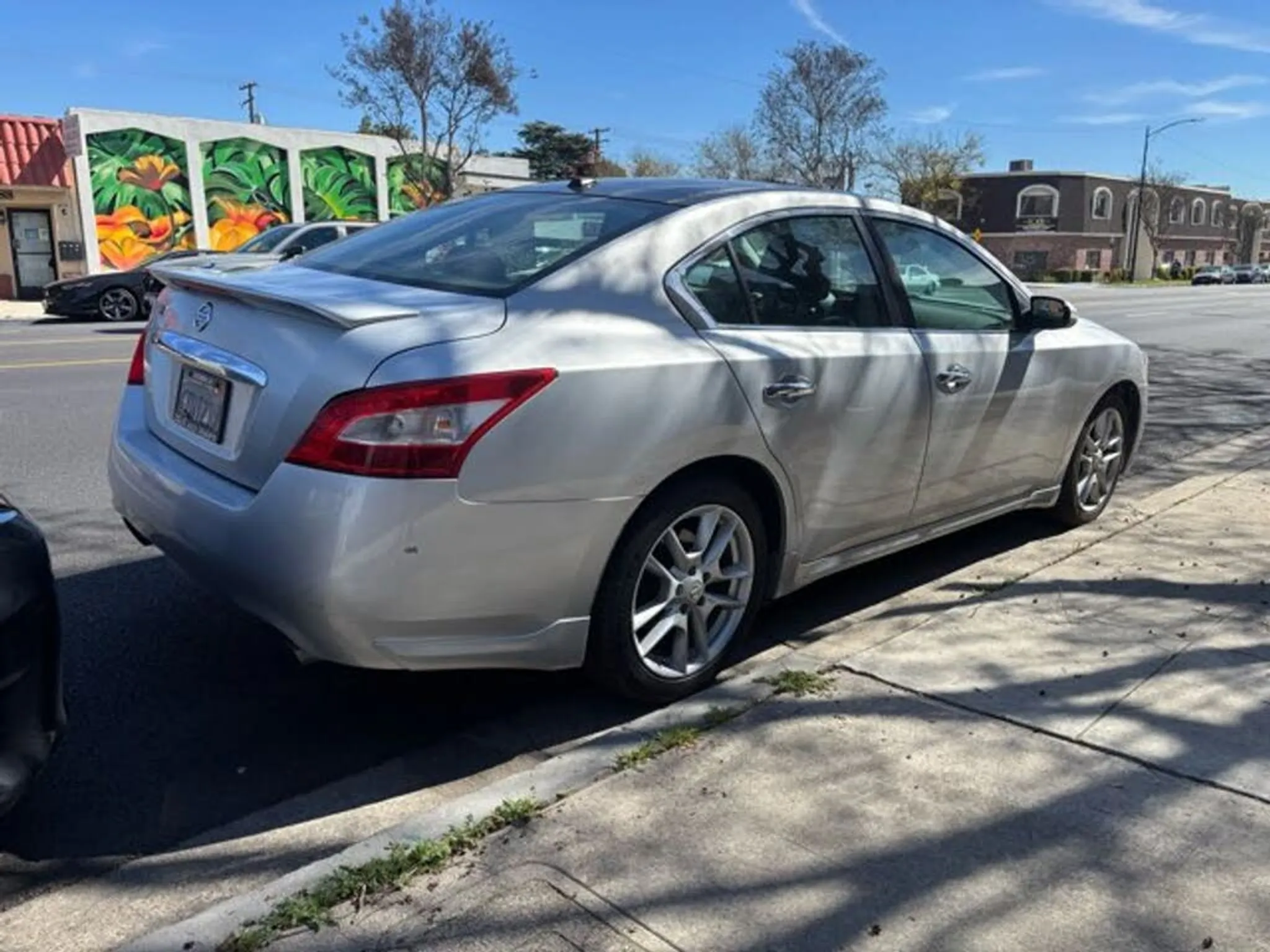 2010 NISSAN Maxima SV - Photo 3